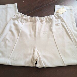 Soft Surroundings Skinny Stretch Pants